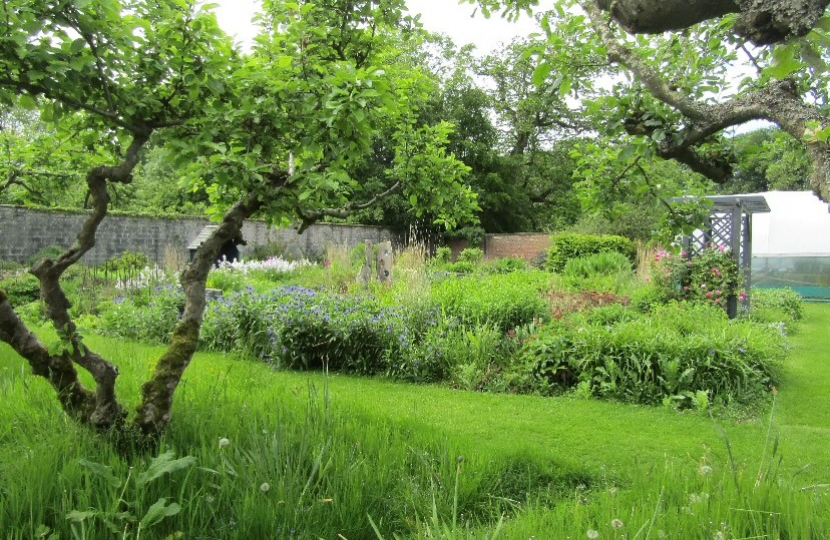 Ripon Walled Garden